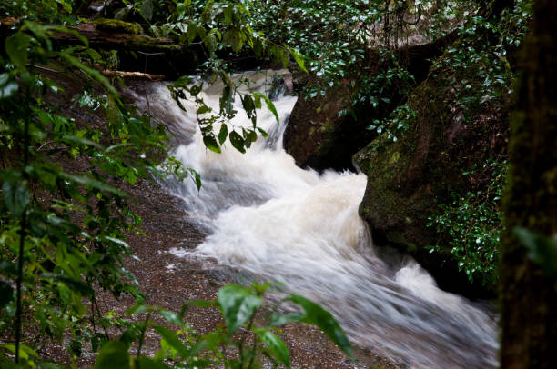 istock waterfall in the forest , brazil 1478905668