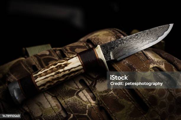 A Custom Damascus And Deer Antler Hand Made Knife Stock Photo - Download Image Now - Advanced Tactical Fighter, Alloy, Animals Hunting