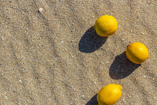 istock lemons lying on a tropical beach. summer beach fruits. design 1478917457