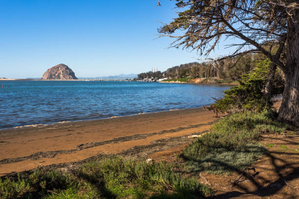 Morro Bay State Park in California