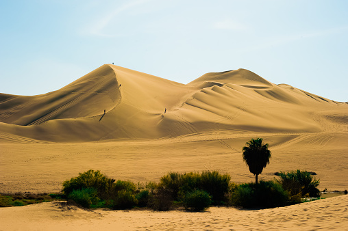 The HuacThe Huacachina Oasis, in the desert sand dunes near the city of Ica, Peru achina Oasis, in the desert sand dunes near the city of Ica, Peru. High quality photo