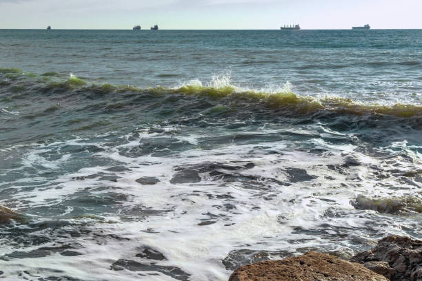istock White foam of the coastal wave on the sandy shore. 1478929805