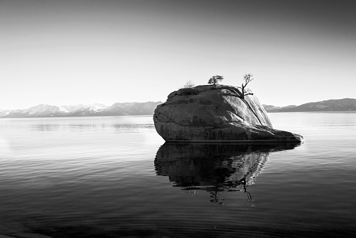 Bonsai Rock at Lake Tahoe in Monochrome, Black and white landscape in California