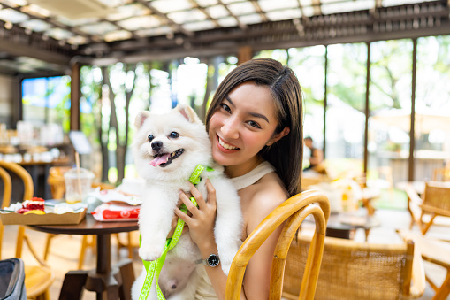 Portrait of Young Asian woman playing with her Pomeranian dog at pets friendly dog park cafe. Domestic dog with owner enjoy and fun urban outdoor lifestyle in the city on summer vacation. Pet Humanization or pet parents concept.