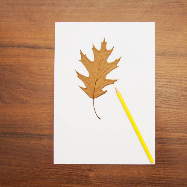 istock A beautiful pencil lies on a magical background 1478940926