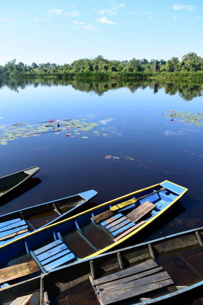 istock The Afternoon and The Lake 1478941154