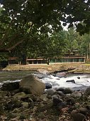 fluss-im-wald.jpg?b=1&s=170x170&k=20&c=Az40Rmz6ndn5Wcxiz6-jlcKvsY4RH9MhFUzQJvt00xI=