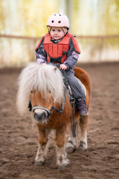 little child riding lesson. three-year-old girl rides a pony and does exercises - teaching child horseback riding horse imagens e fotografias de stock