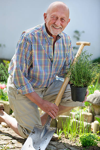 istock Senior man working in the garden with a shovel 147895475