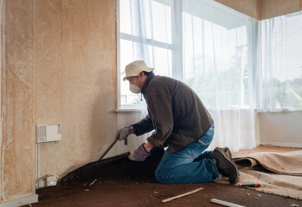 Man using an iron bar to pull up old damaged carpet. Auckland.