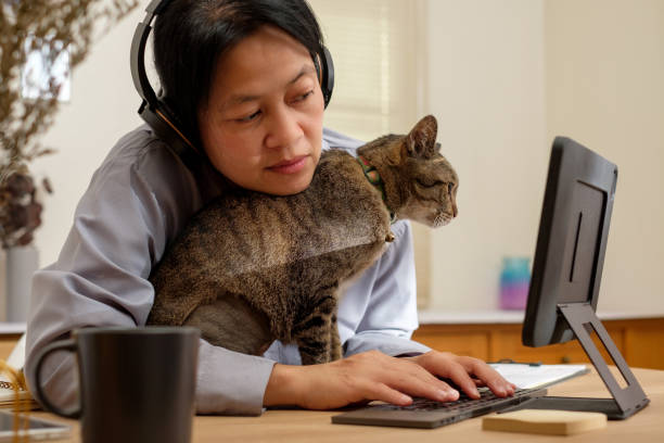 istock asian woman working on tablet computer and hug her cat at home 1478958036
