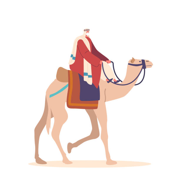 ilustraciones, imágenes clip art, dibujos animados e iconos de stock de beduinos montando un camello por el desierto aislados sobre fondo blanco. aventura, estilo de vida nómada, viajar - camel ride