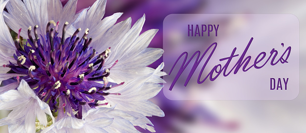 Happy Mother's day greeting card with flower and a greeting inscription