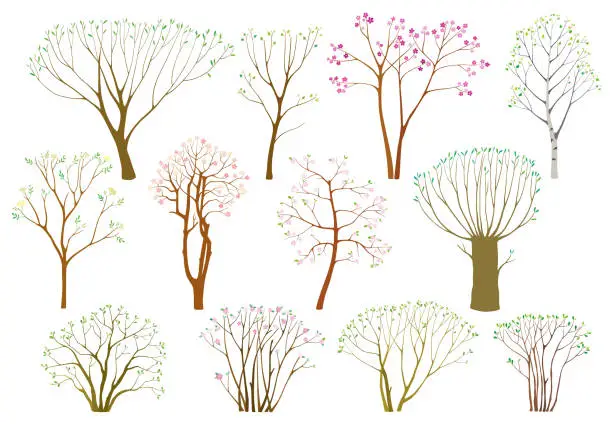 Vector illustration of Set of spring trees