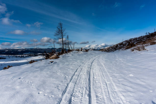 istock 2023 01 14 Marcesina snowy road 4 1478978181