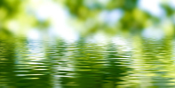 istock image of a blurred green background and its reflection in a water surface. 1478978195