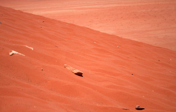 Desert sand dunes, United Arab Emirates