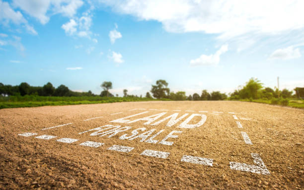 istock Land plot management - real estate concept with a vacant land on a green field available for building construction and housing subdivision in a residential area for sale. 1478986065