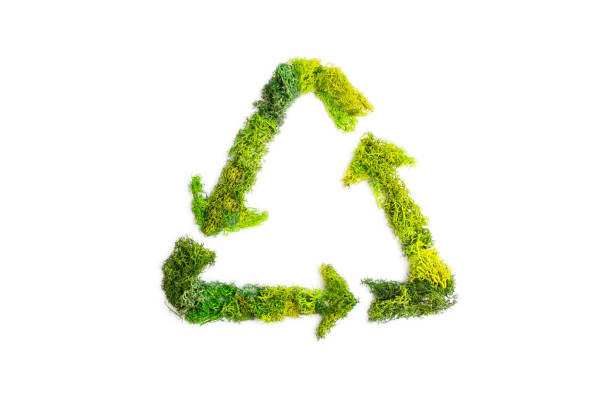 istock Recycle triangle logo made with green moss isolated on white background 1478999815
