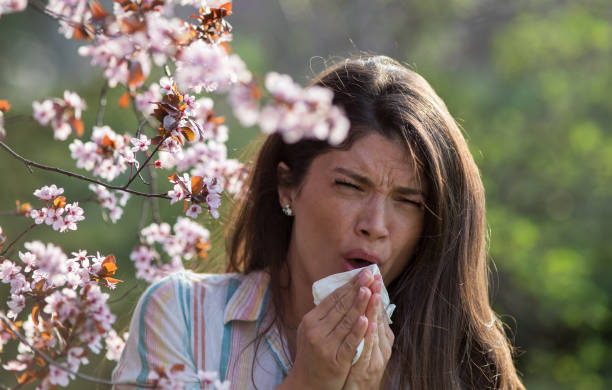 istock Girl sneezing in front of blooming tree in spring 1479003264