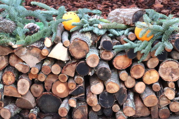 istock pile of wood cut 1479003400
