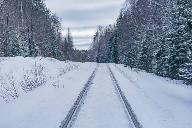 istock Railway track in the winter forest. 1479007462