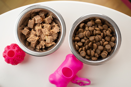 canned food and dry feed for dogs and cats, pet feed