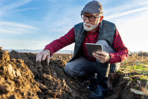 istock Farmer checking soil in field in autumn 1479011244