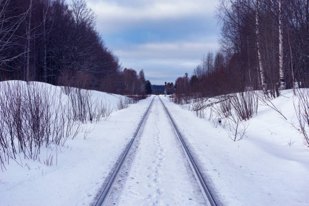 istock Railway track in the winter forest. 1479011995