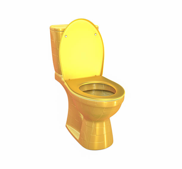 istock Golden Toilet bowl 1479013779