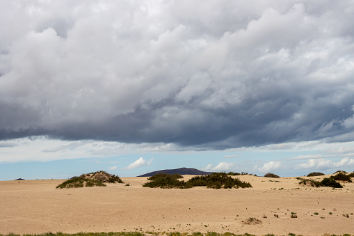 Stormy clouds above the sand dunes in the winter season. Unique european desert as a part of natural park. Green plants. Corralejo, Fuerteventura, Canary Islands, Spain.