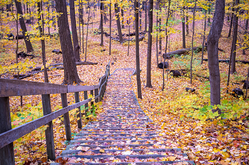 Fall leaves cover stairs, Sawmill Valley Trail, Mississauga, Ontario, Canada.