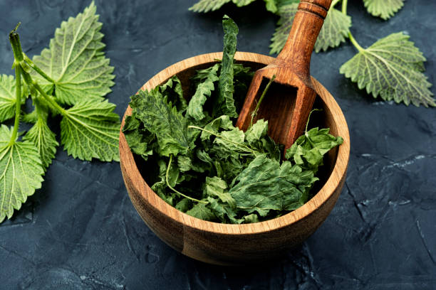 istock Fresh and dry nettle or urtica in wooden mortar 1479021874