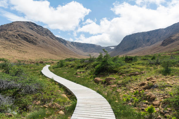 istock Boardwalk in the Tablelands, Gros Morne Park 1479023909