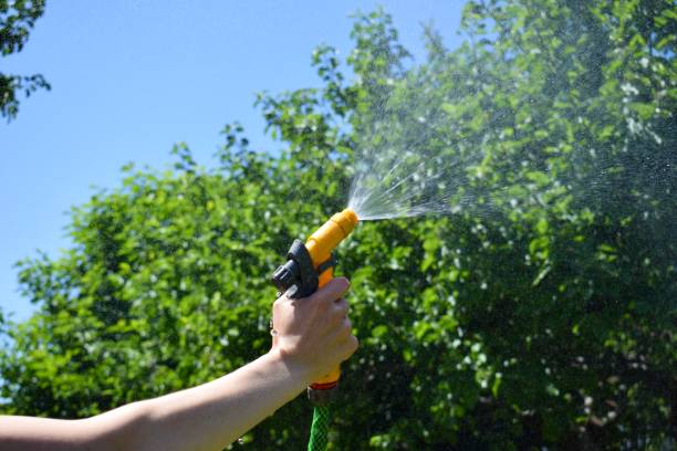 istock Garden hose spraying water on a hot day 1479025918