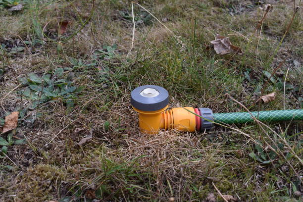 istock Garden sprinkler on dead lawn 1479026179