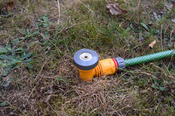 istock Garden sprinkler on dead lawn 1479026202