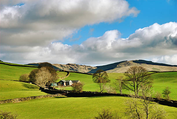 istock Beautiful green meadow and cloudy sky 147902639