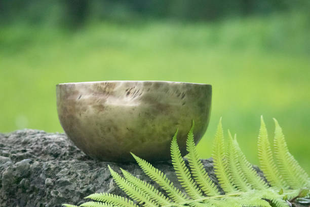 istock Singing Bowl sound Healing 1479030396