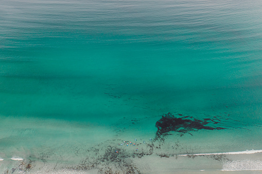 Drone high-angle photo of people surfing in the turquoise waters of beautiful seashore surrounded by summer green mountain peaks in Hoddevik, Stranda, Westland county