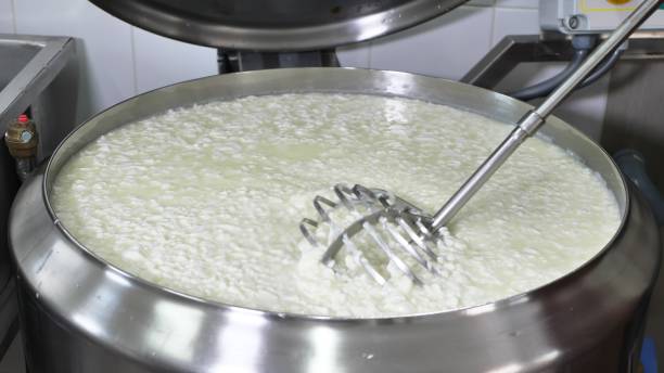 elaboración de queso con leche fresca en una fábrica privada de quesos. el proceso de mezclar con un batidor grande. - cuajar fotografías e imágenes de stock