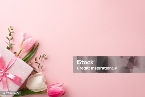 istock Mother's Day concept. Top view photo of stylish pink giftbox with ribbon bow and bouquet of tulips on isolated pastel pink background with copyspace 1479043622