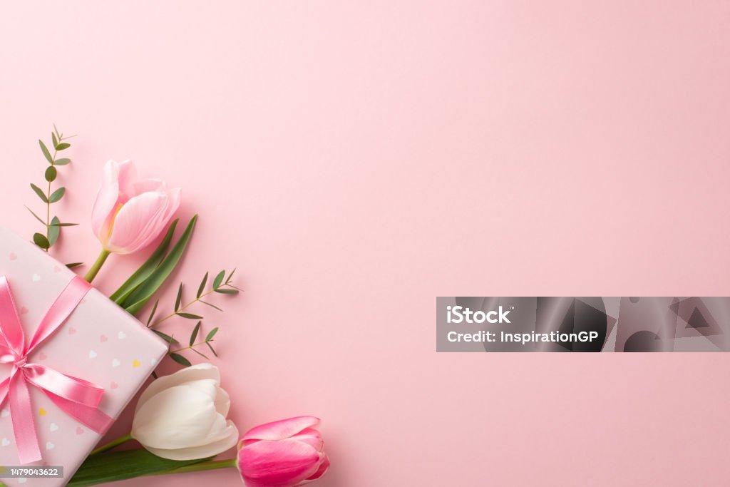Mother's Day concept. Top view photo of stylish pink giftbox with ribbon bow and bouquet of tulips on isolated pastel pink background with copyspace Mother's Day Stock Photo