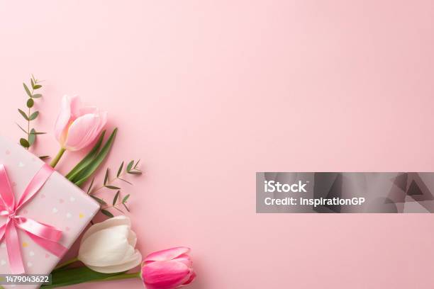 Mothers Day Concept Top View Photo Of Stylish Pink Giftbox With Ribbon Bow And Bouquet Of Tulips On Isolated Pastel Pink Background With Copyspace Stock Photo - Download Image Now
