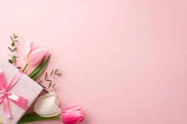 Photo of Mother's Day concept. Top view photo of stylish pink giftbox with ribbon bow and bouquet of tulips on isolated pastel pink background with copyspace
