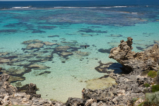 istock Rottnest Island Western Australia 1479049291