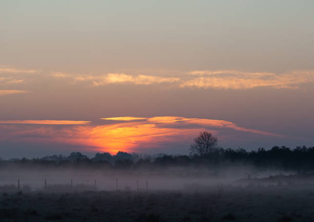 istock Sunset over a foggy field 1479051070