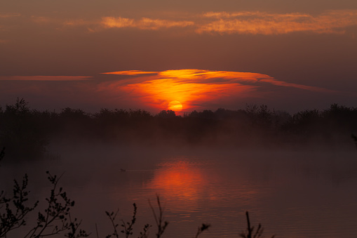 Sunrise over the wetland of the Leersumse Veld in The Netherlands.