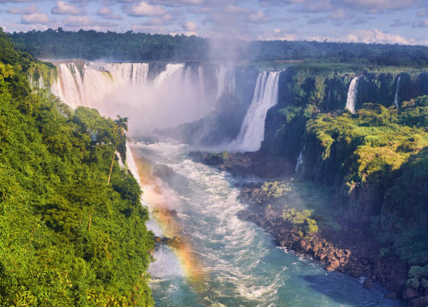 istock Beautiful shot of a waterfall gushing down in an exotic forest 1479052947