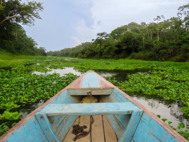 istock Wooden boat on the green coast 1479053384